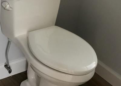 toilet repair and replacement