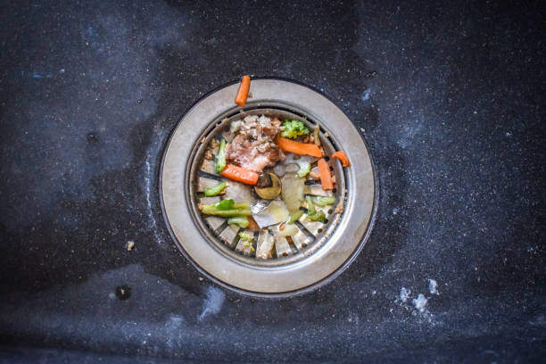 clogged drain repair Dunedin