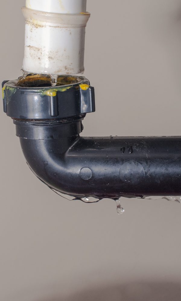 Dunedin (600 x 1000 px) cp 9.12.25 Drain Cleaning Clearwater