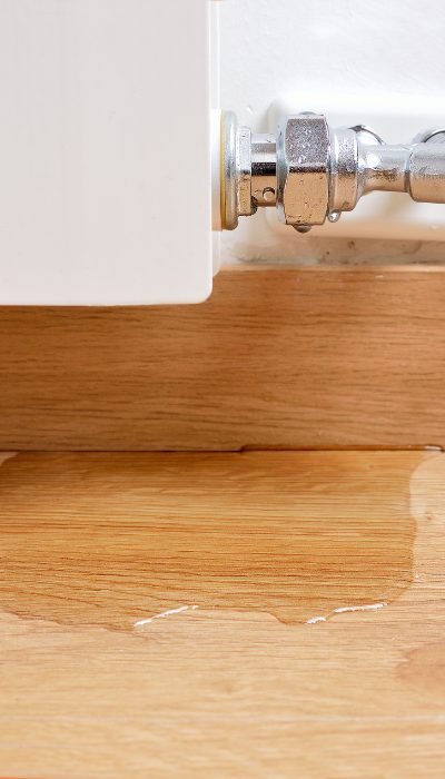 dunedin cp2 10.6.25 Plumbing Contractor Palm Harbor